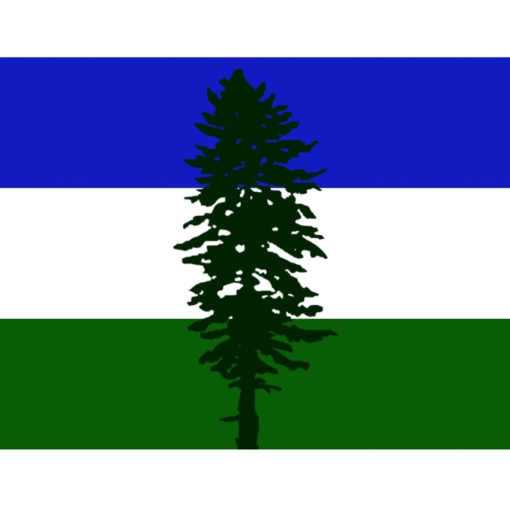New Pacific Northwest Cascadia “Old Doug”  Flag Polyester 4’x6’ with Grommets